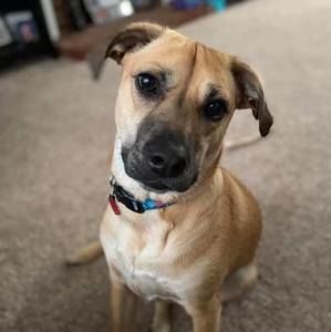 Meet your Posher, Tracie